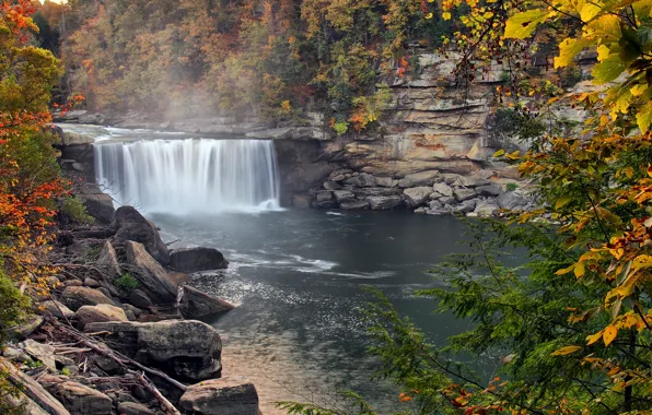 Картинка осень, лес, деревья, брызги, туман, река, водопад, США