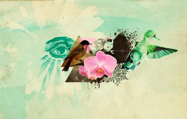 Картинка цветок, птицы, глаз, коллаж, Абрстракция