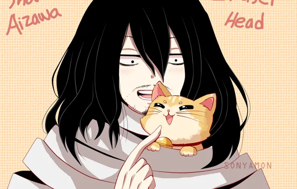 Кот, учитель, Boku no Hero Academia, Моя геройская академия