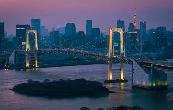 Мост, река, дома, вечер, Tokyo, Japan, Ricardo