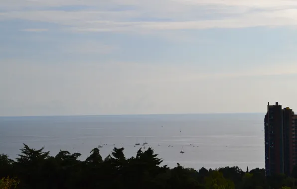 Море, парк, вид, яхты, сочи