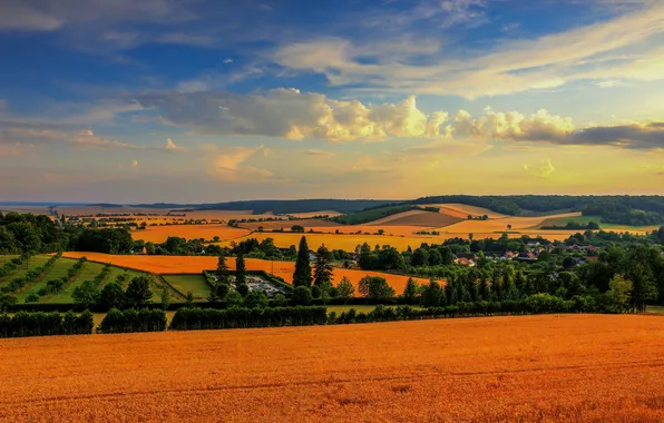 Облака, деревья, Франция, поля, панорама, France, Шампань-Арденны, Champagne-Ardenne