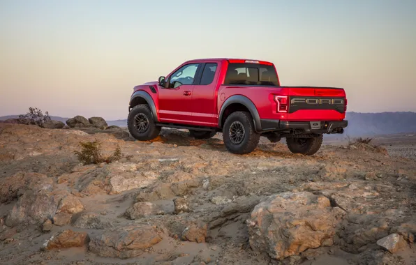 Ford, Камни, Raptor, F-150, 2019, Ford F-150 Raptor