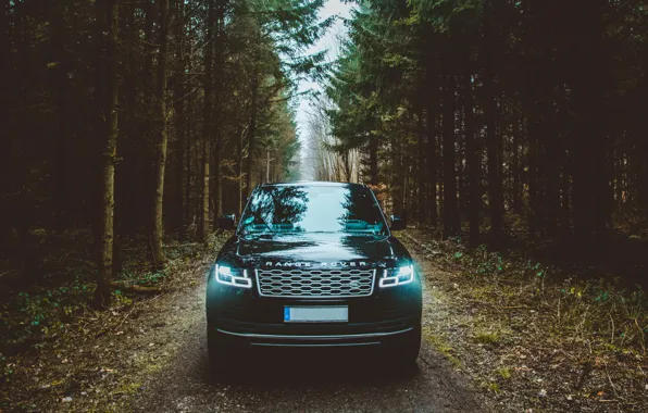 Land Rover, Range Rover, Wood, Lights, Trees, Offroad