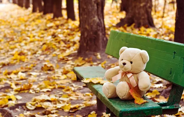 Осень, игрушка, лавка, медвежонок