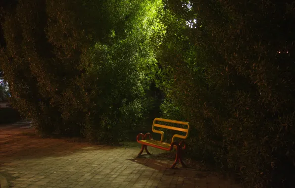 Green, yellow, night, park, orang, khorramshahr
