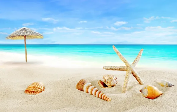 Картинка песок, море, пляж, берег, ракушки, summer, beach, sea