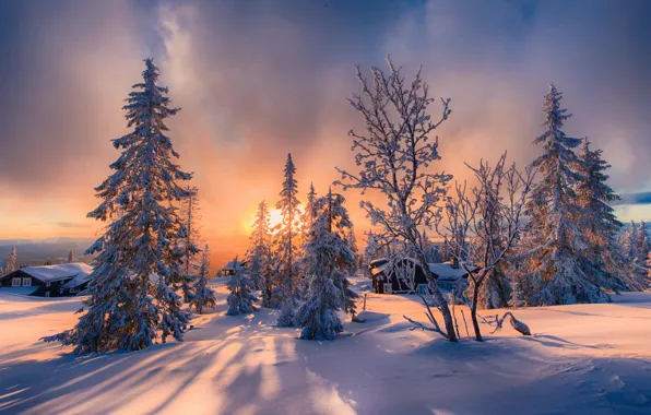 Картинка зима, солнце, снег, деревья, пейзаж, природа, дома, ели
