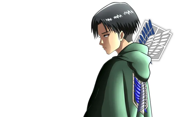 Аниме, арт, Shingeki no Kyojin, Атака титанов, Вторжение гигантов, Леви, Ривай