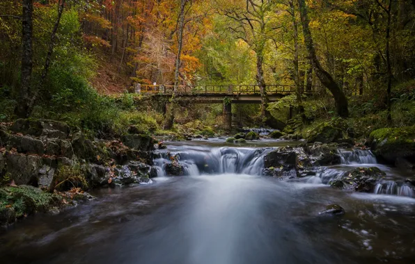 Картинка осень, лес, мост, река, Испания, Кантабрия