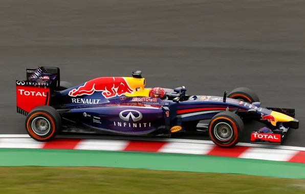 Гонщик, Formula 1, Sebastian Vettel, Чемпион