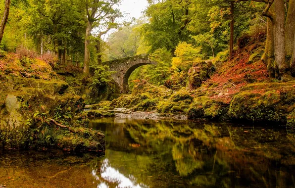 Картинка осень, лес, деревья, мост, отражение, река