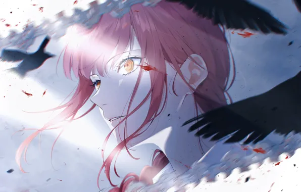 Небо, девушка, свет, птицы, кровь, Chainsaw Man, Makima