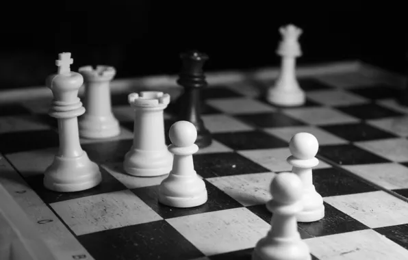 Белое, шахматы, черное