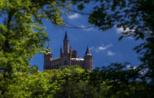 Картинка небо, деревья, ветки, башня, Германия, замок Гогенцоллерн