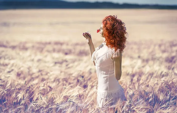Картинка поле, лето, солнце, цветочек, рыжеволосая девушка