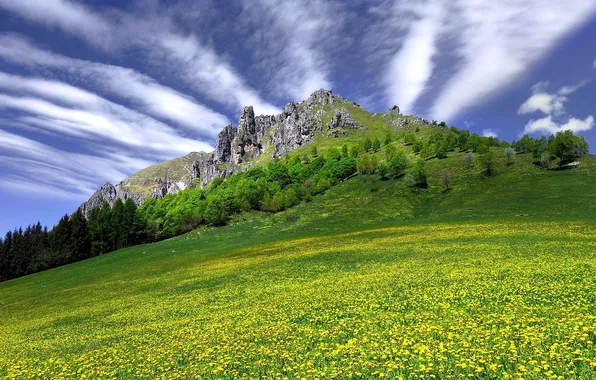 Картинка небо, трава, облака, цветы, скала, гора