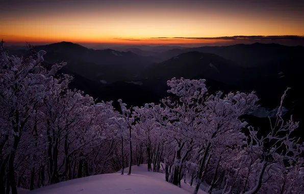 Зима, небо, снег, деревья, горы, рассвет, япония, высота