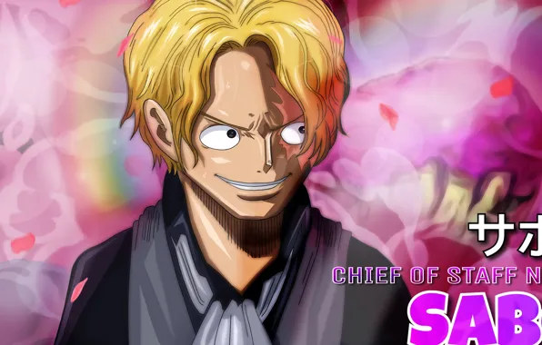 One Piece, anime, asian, manga, oriental, asiatic, japonese