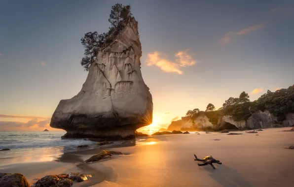 Картинка скала, рассвет, побережье, утро, Новая Зеландия, Te Hoho Rock