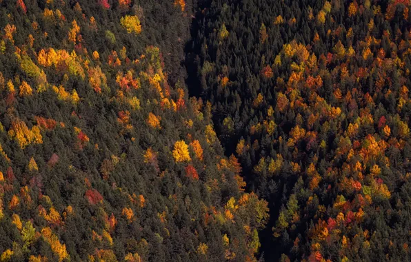 Aragon, Torla, Otoño en Ordesa, Sabiñánigo