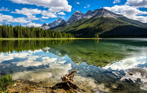 Картинка лес, горы, озеро, отражение, Канада, Альберта, Alberta, Canada