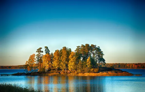 Картинка лес, озеро, остров