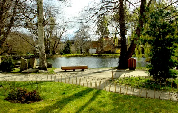 Park, alley, pond