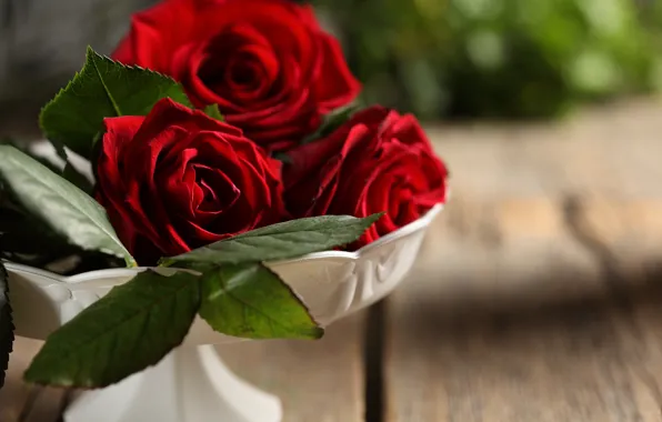 Листья, цветы, букет, бутоны, flowers, leaves, bouquet, red roses