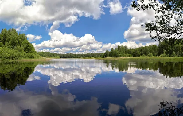 Облака, деревья, озеро, пруд, отражение, Чехия, Czech Republic, Nova Bystrice