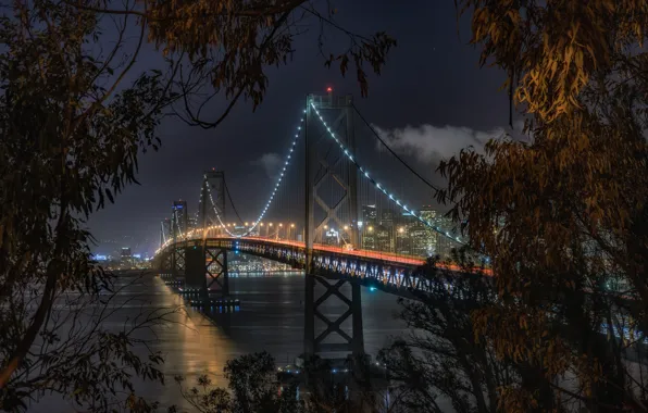 Картинка Калифорния, США, California, San Francisco, Bay Bridge