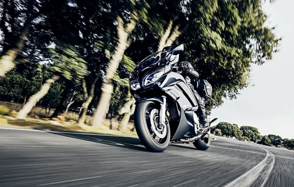 Sport, Yamaha, moto, road, tourer, FJR