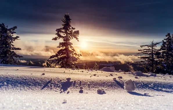 Картинка зима, солнце, снег, деревья, фото, bo0xvn