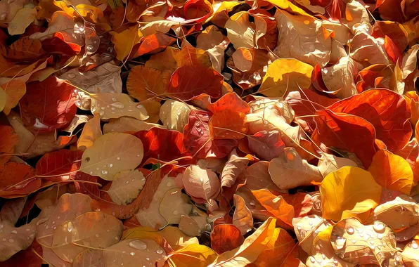 Картинка осень, листья, капли, линии, рендеринг, краски