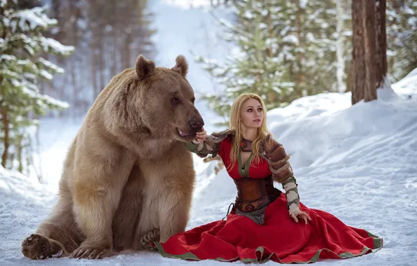 Зима, лес, фото, медведь, Мишка, Русь, Даша