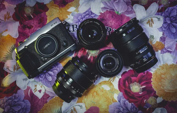 Фон, фотоаппарат, объективы