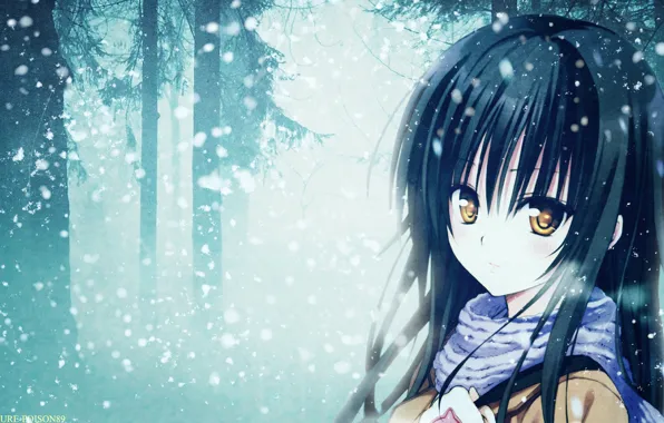 Картинка лес, снег, аниме, шарф, girl, forest, snow, Kotegawa Yui