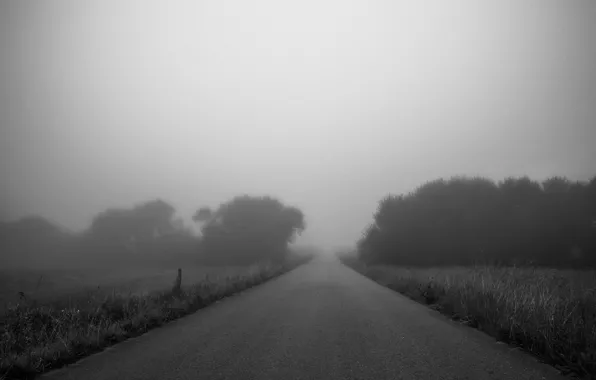 Road, countryside, foggy, farmland