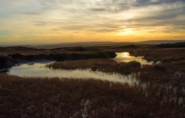 Поток, вечер, горизонт, evening, horizon, stream