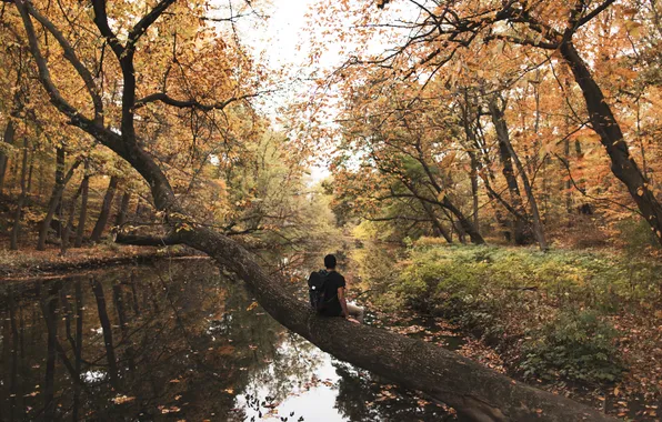 Картинка river, trees, autumn, leaves, man, reflection, mirror, foliage