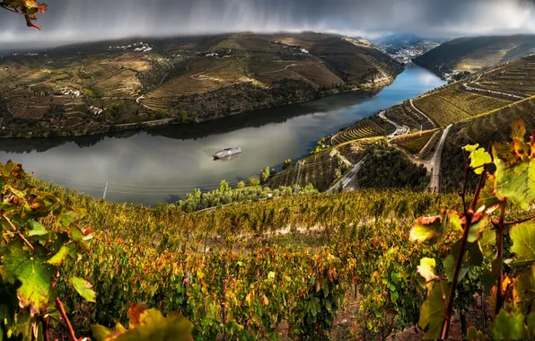 Картинка тучи, река, дождь, поля, Португалия, плантации, теплоход, Valenca Do Douro