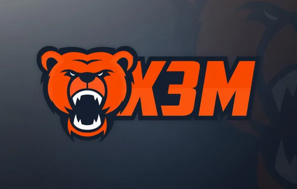 Vector, sport, logo, bear, design, team