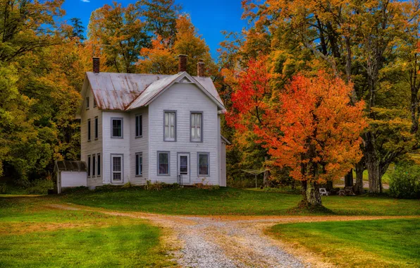 Картинка дорога, осень, трава, деревья, дом, Нью-Йорк, США, особняк
