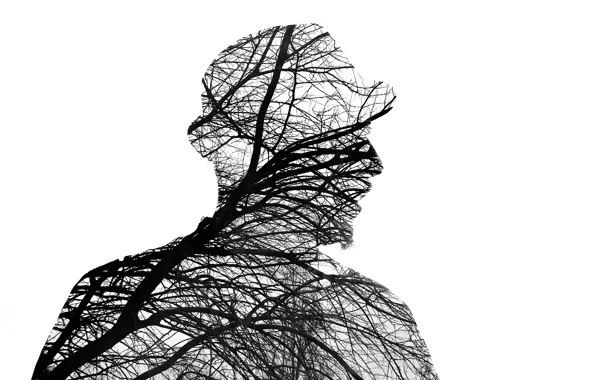 Man, branches, silhouette