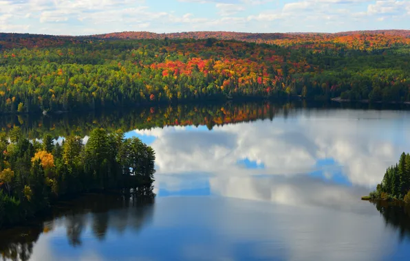 Картинка осень, лес, небо, облака, озеро, холмы