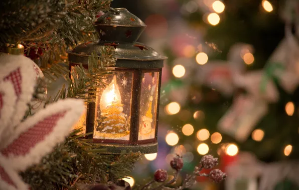 Украшения, ветки, огни, праздник, елка, Рождество, фонарь, Новый год