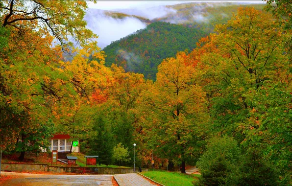 Картинка Природа, Дорога, Осень, Деревья, Холмы, Fall, Autumn, Road