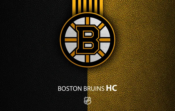 Wallpaper, sport, logo, NHL, hockey, Boston Bruins