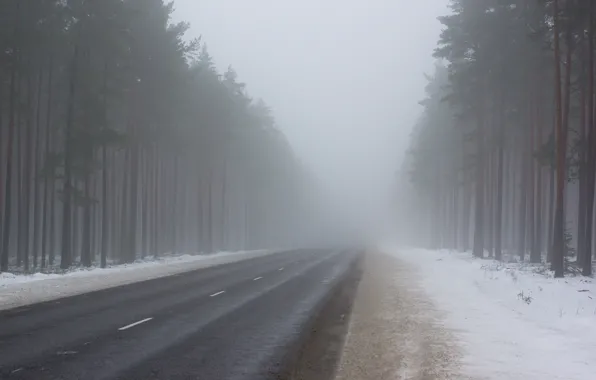 Дорога, лес, снег, деревья, туман, Зима, вечер, мороз
