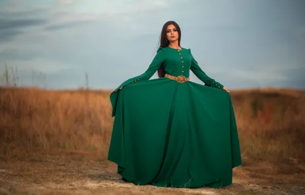 Картинка девушка, поза, стиль, зелёное платье, Дмитрий Шульгин